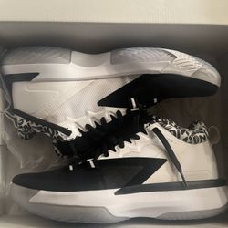 Jordan Zion 1