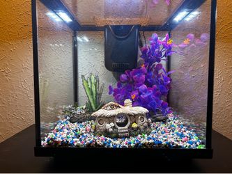 Beautiful Tropical Theme Aquarium