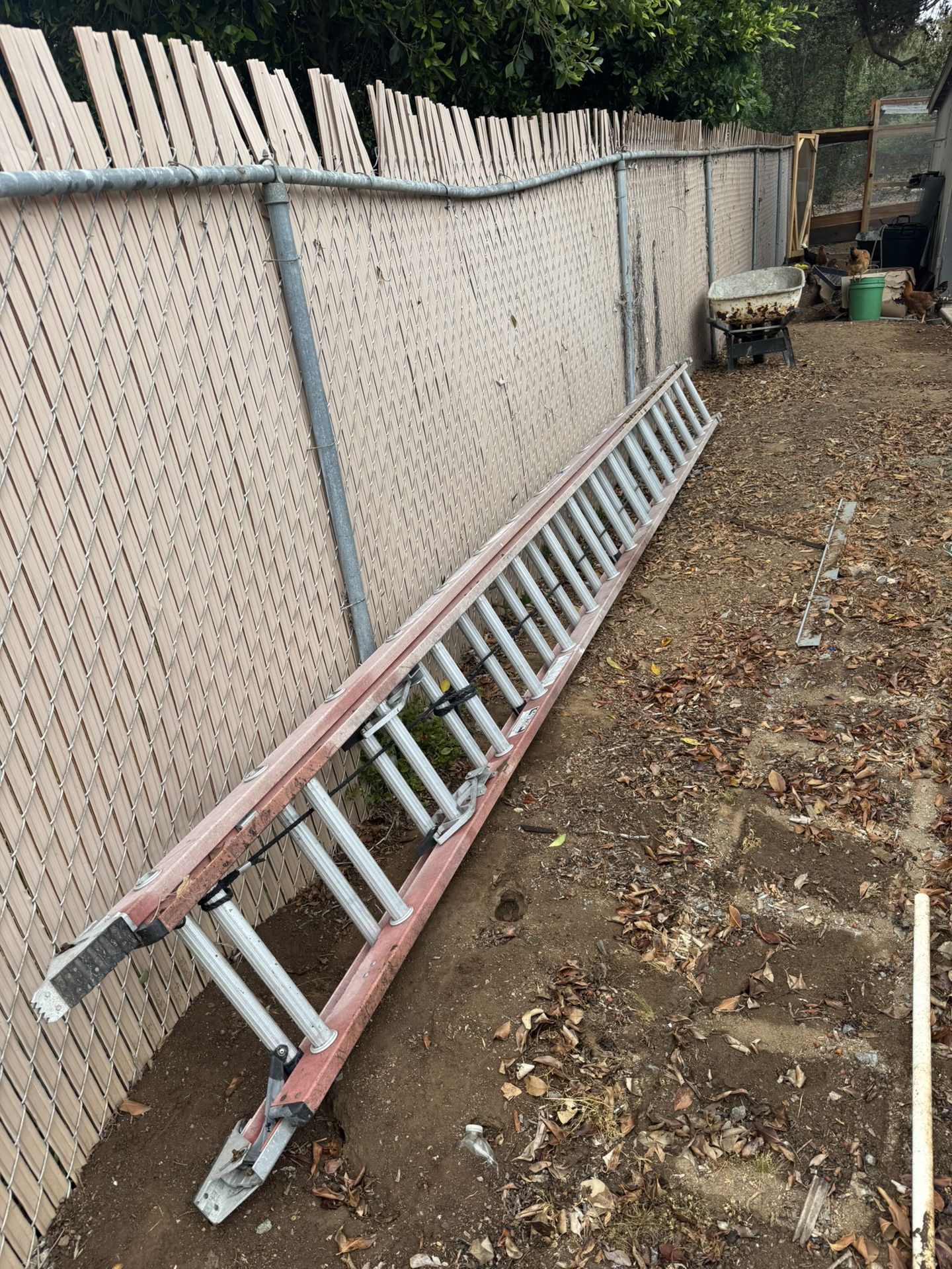 32’ Ladder