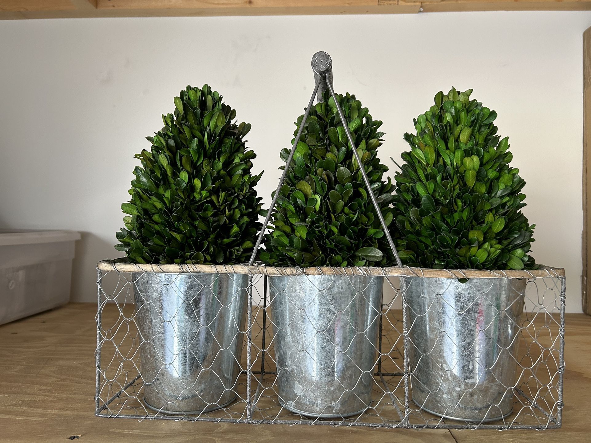3 Faux Potted Topiaries in Wire Basket With Handle