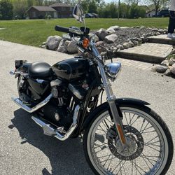 Harley Davidson XL 883 Sportster 