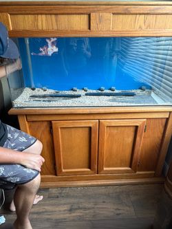 Acrylic fish tank