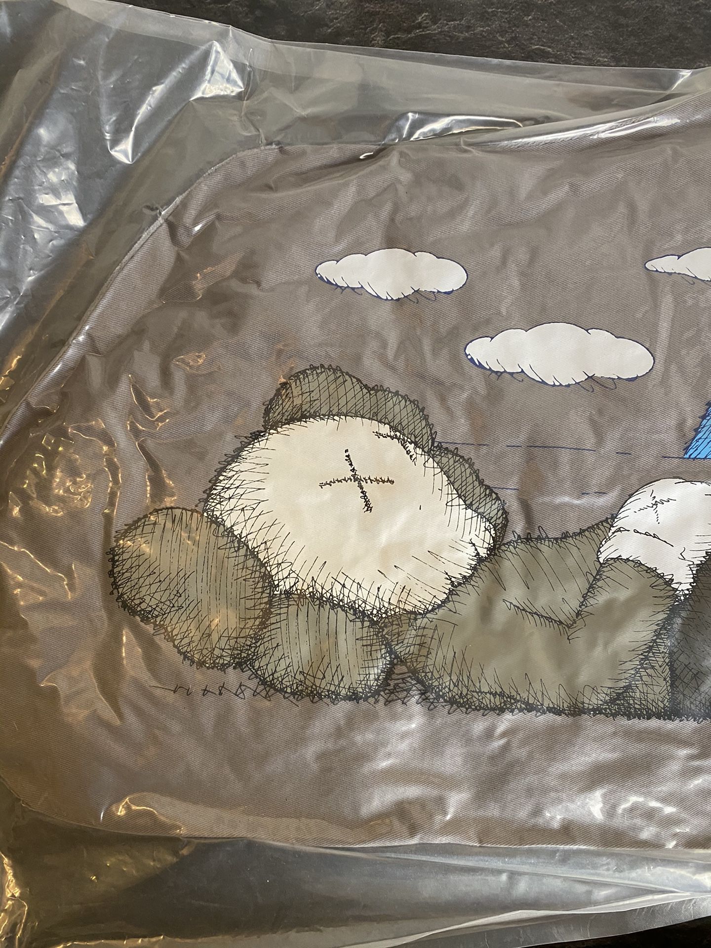 New KAWS Holiday Japan Pillow Companion Mount Fuji Cushion SEALED Collectible Dead Stock / Collectors Item 100% Authentic Sold Out