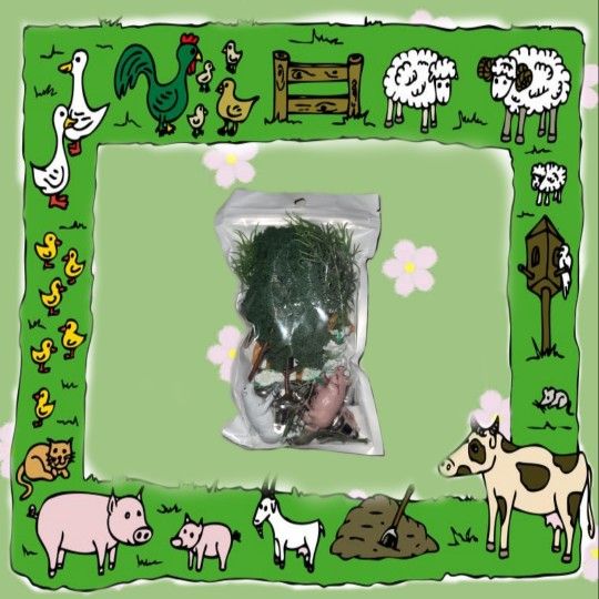 Animals For Projact