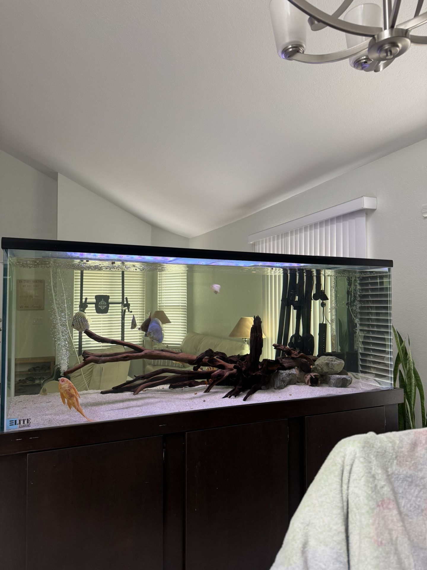 Pleco cave (Read Description) For fish tanks aquarium