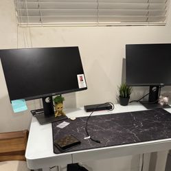 Dell Computer Monitor 24” Dual 