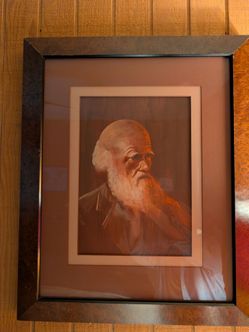 Charles Darwin Watercolor (signed)