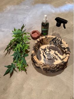 Reptile cage accessories