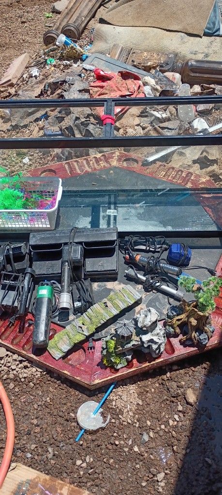 55 G Tank With Everything