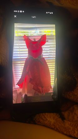 Disney Princess Dress