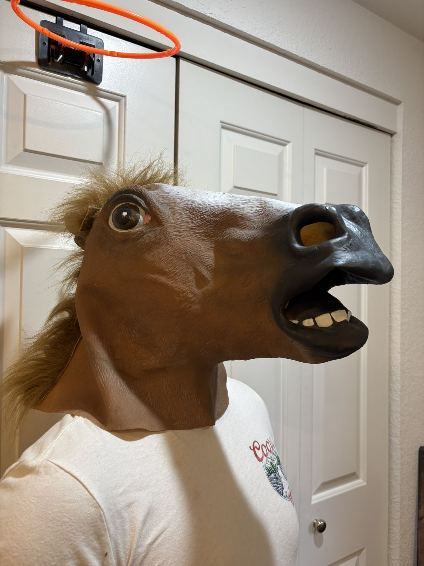 Halloween Costumes/Accessories -Free