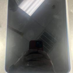 Apple iPad Blue  A16 256 GB