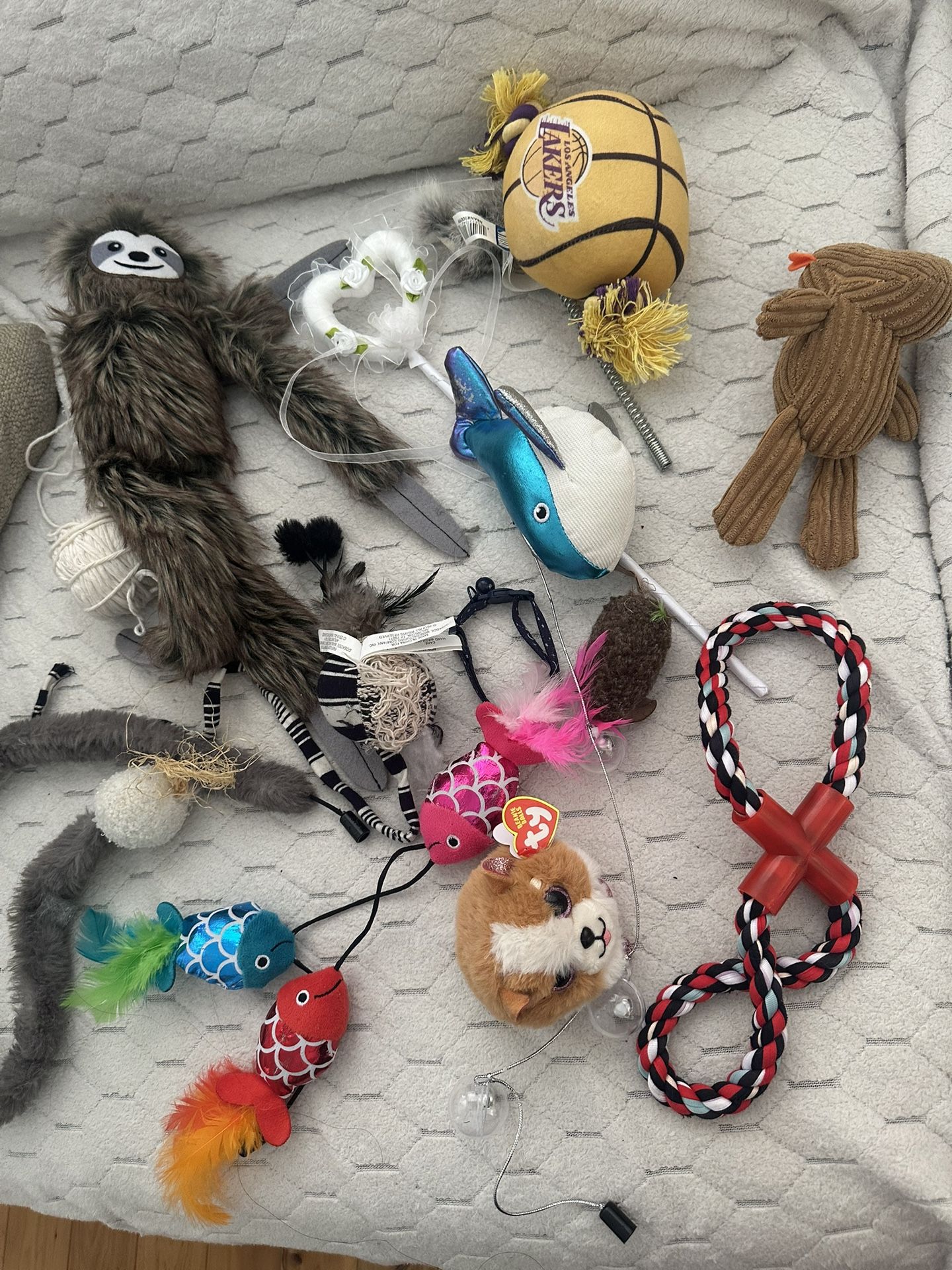 Cat Toys