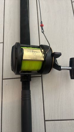 TLD 30 2 speed Penn formula rod