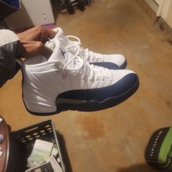 French Blue Jordan 12s