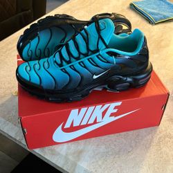 Nike Air Max Plus Tn Lt Retro Summit White-black