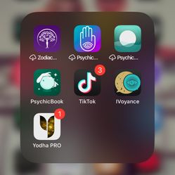 iPhone 13 With TikTok 