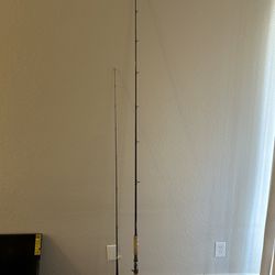 Fishing Pole Rods Only 