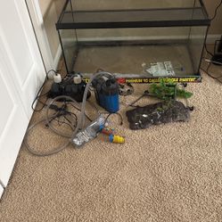 Turtle Fish Tank