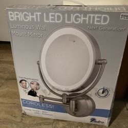 Zadro LED dual magnification wall mirror