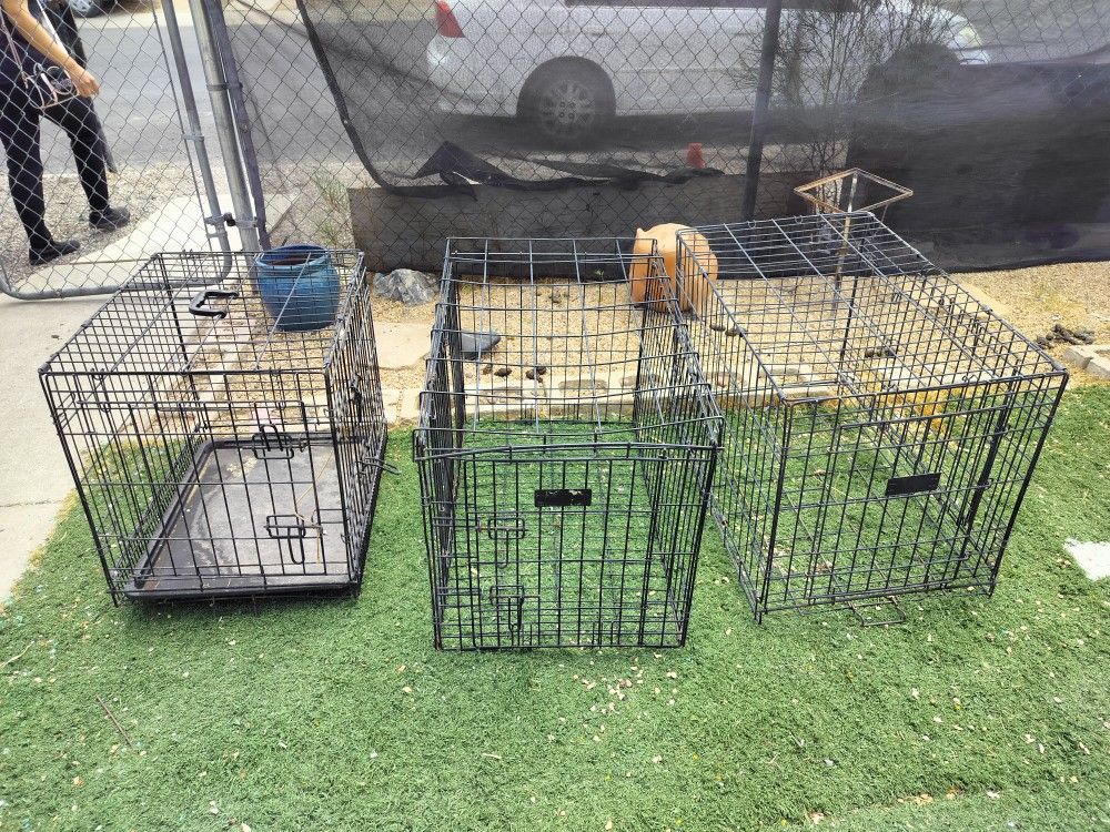 Small Dog Crates
