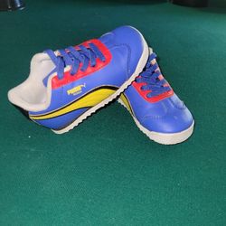 Puma 6c