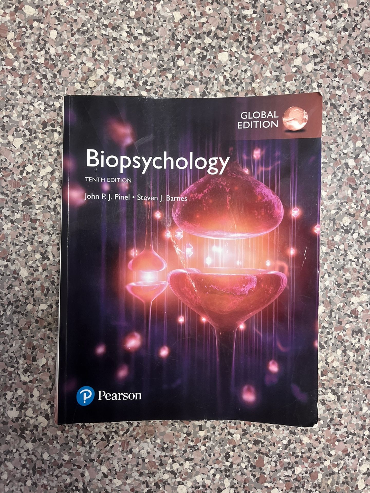 Biopsychology 10th Edition by Pinel