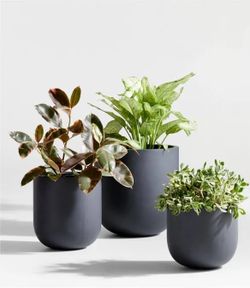 2 Planters (the Two On The Left)