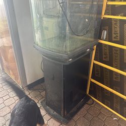 Nano Fish Tank  28 Gallons $100 
