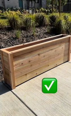 Plant box