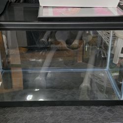 10 Gallon Reptile / Fish Tank