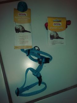 Ferret harness and collar.2 items.New.