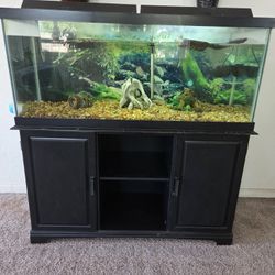75 Gallon Tank 