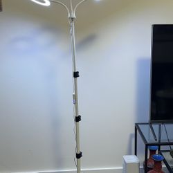 Nice Floor Lamp Like New