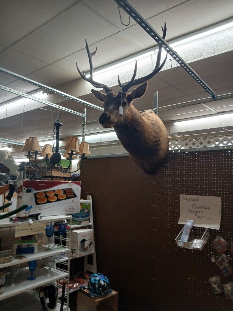 Antiques, Furniture, Glassware, Jewelry, Candles,