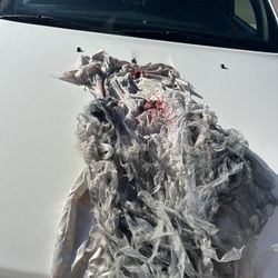 Mummy Bride Costume 