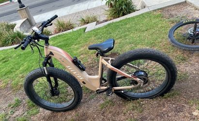 Ebike