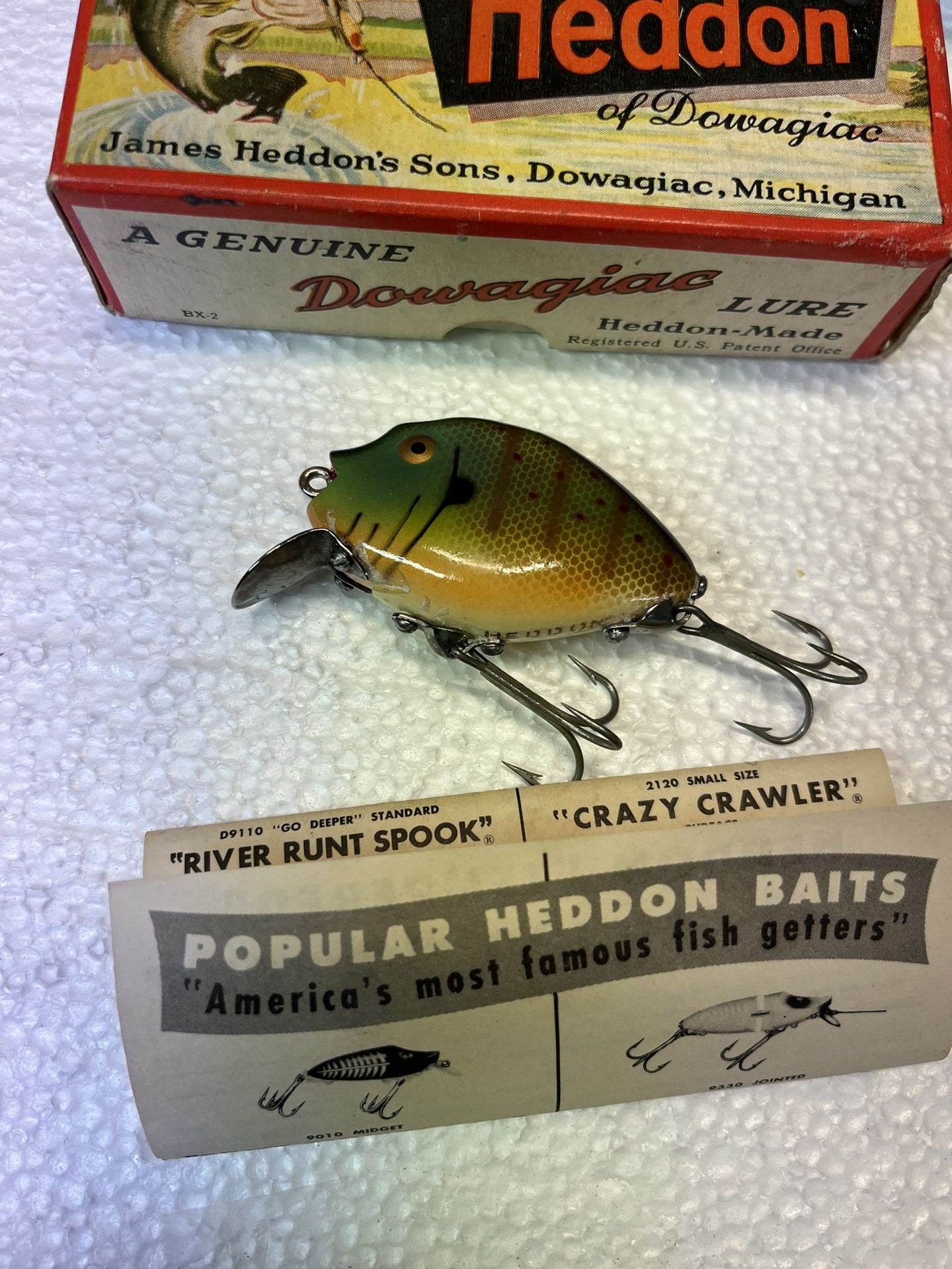 aquarium fish mystery box Mystery Box