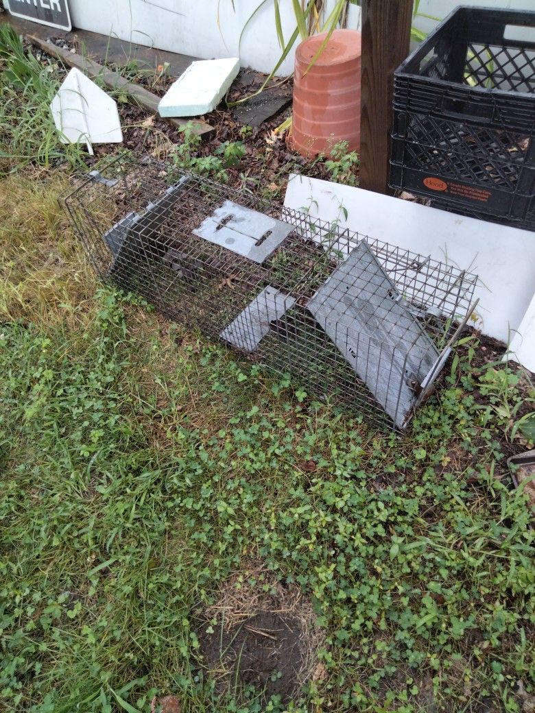 Animal Pet Trap