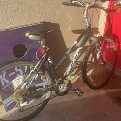 Fuji 1.0 Bike