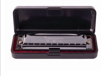 Harmonica with case and beginners guide