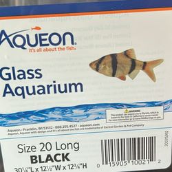 Glass Tank