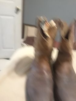 Boots Ariat Size10 /half
