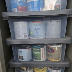 Rust-Oleum Spray Paint 