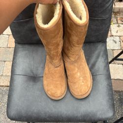 Chestnut Uggs