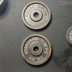 25 Pound Standard Weight Plate Pair 