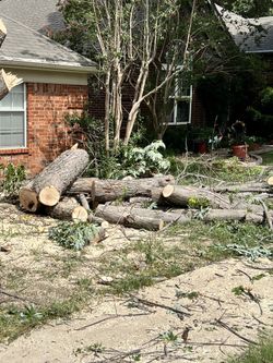 Good Prices  On 🌳🌳 Removal