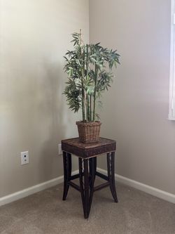 Plant and table for sale