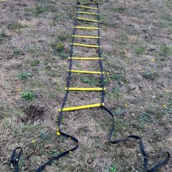 Amazon Basics Skilz Ladder 