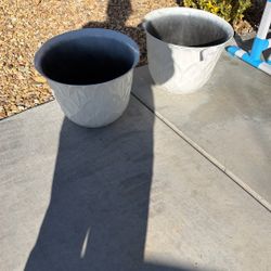 plant pot
